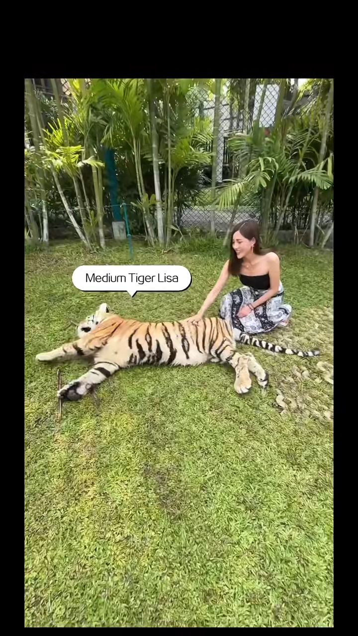 鄧潔瑩甫公布離巢，同日上載性感遊泰國影片。