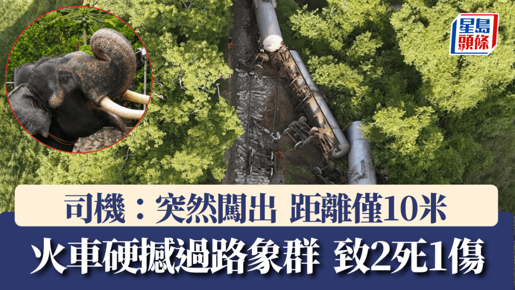 斯里蘭卡火車撼過路象群,致2象死1傷。(美聯社)