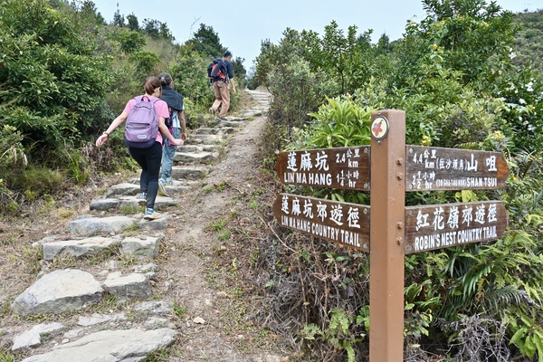 紅花嶺郊野公園設有兩條郊遊徑，貫通西面的蓮麻坑村和東面的沙頭角山咀。政府新聞處