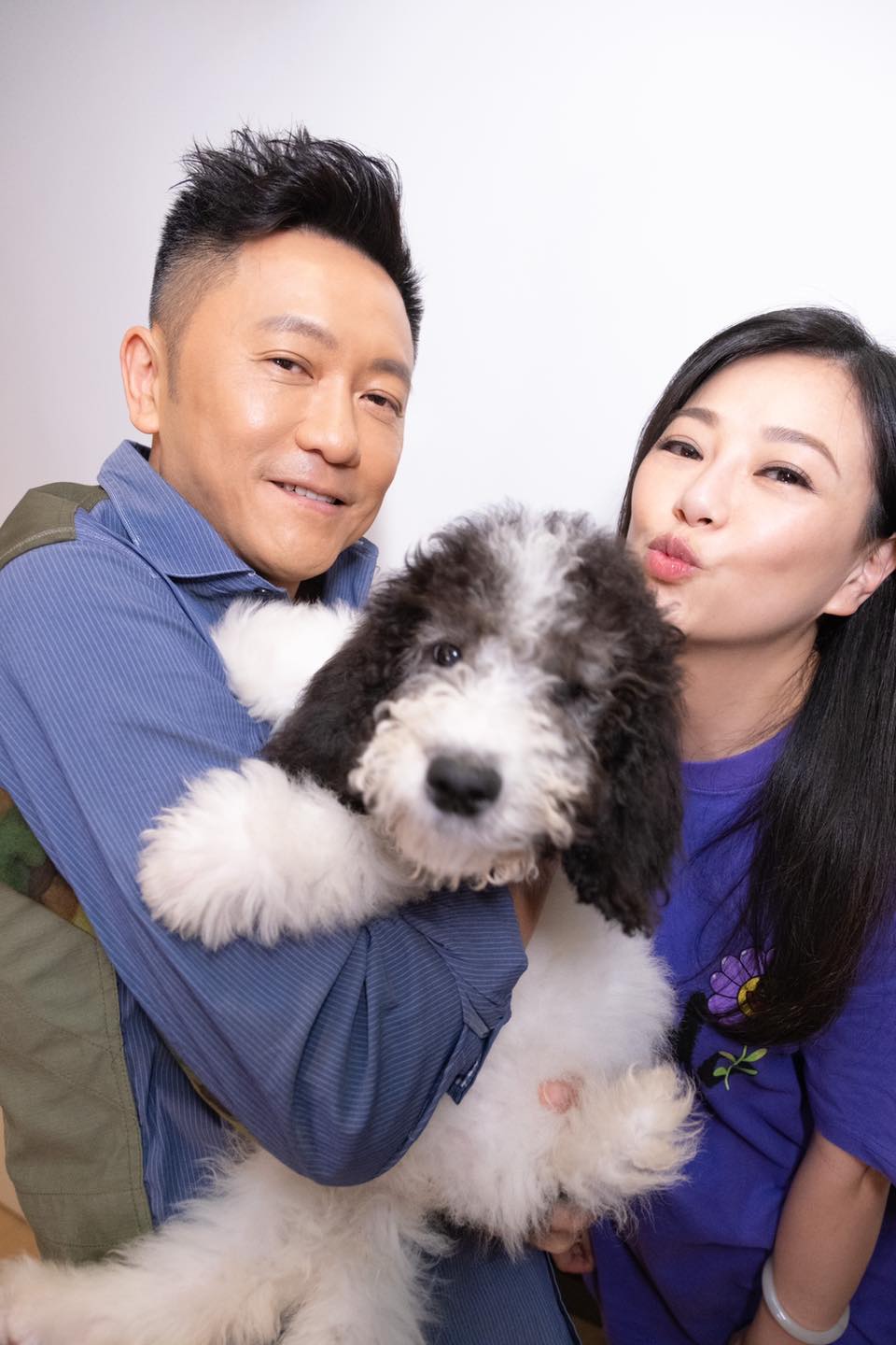 蘇志威和劉小慧養有多隻名種愛犬。