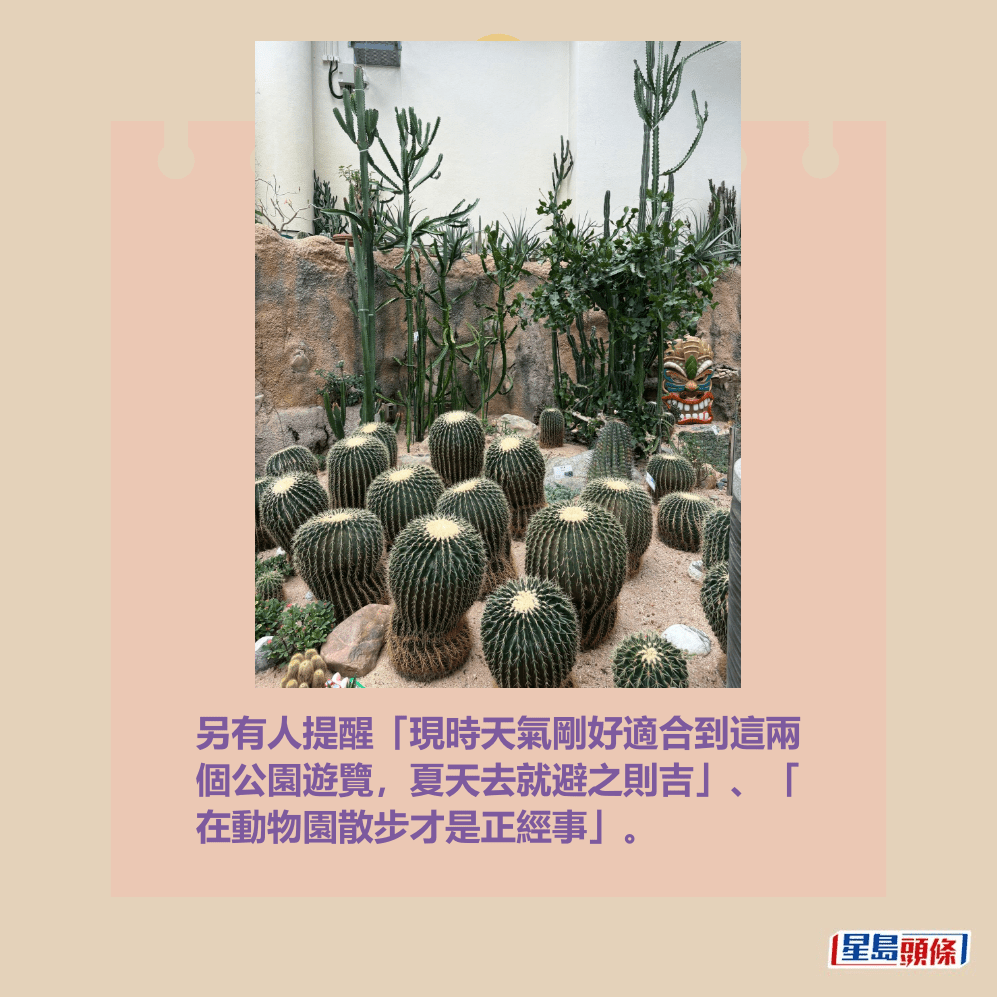 另有人提醒「現時天氣剛好適合到這兩 個公園遊覽,夏天去就避之則吉」、「 在動物園散步才是正經事」。Threads截圖 另有人提醒「現時天氣剛好適合到這兩 個公園遊覽,夏天去就避之則吉」、「 在動物園散步才是正經事」。Threads截圖