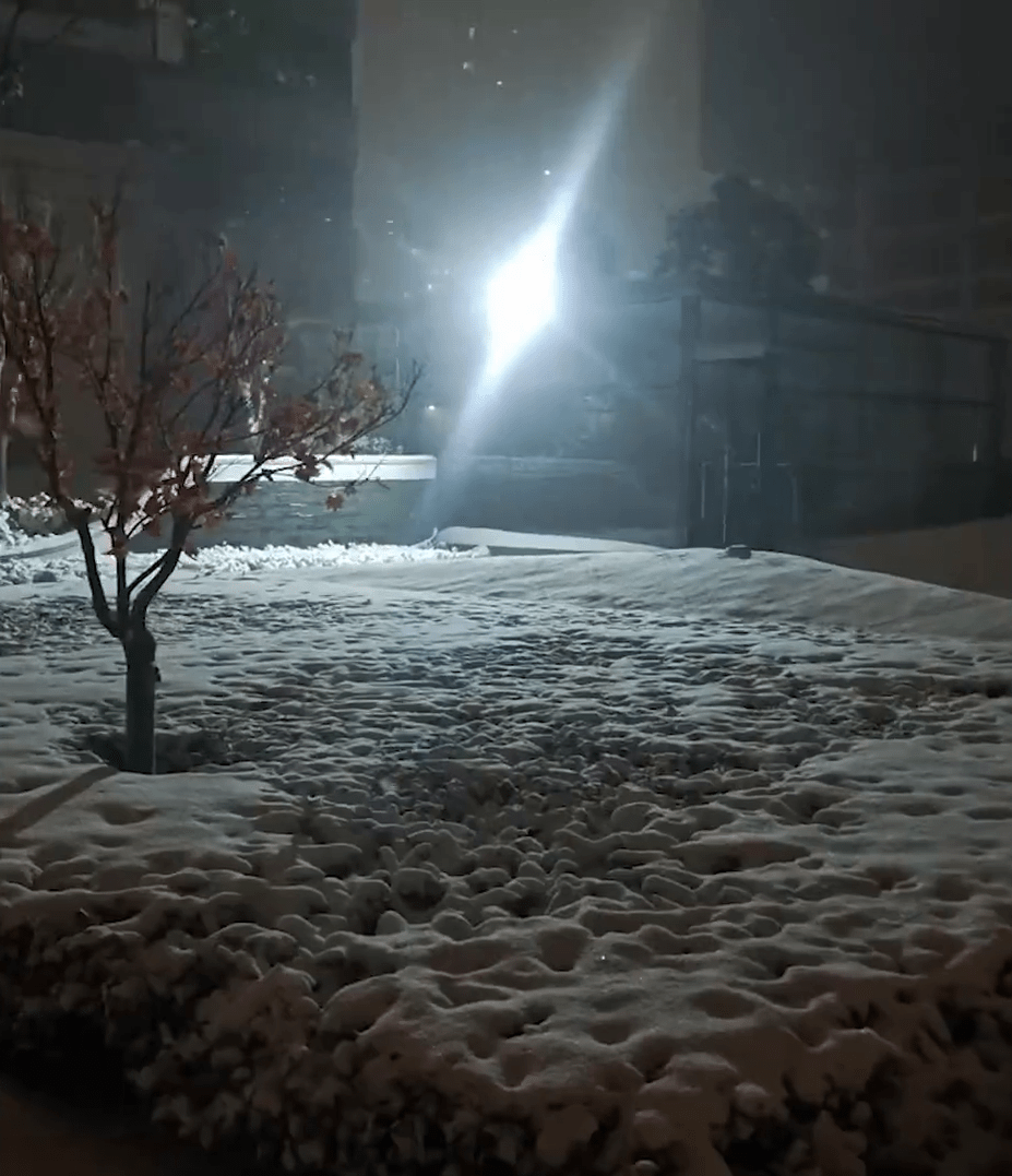 河南有网民发布满地积雪的影片。