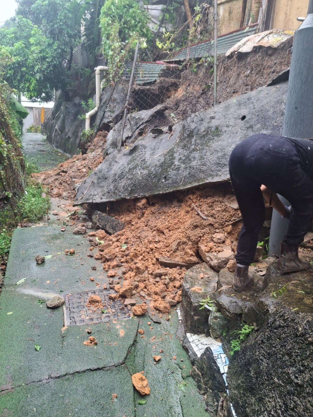 本港多區出現塌樹、水浸及山泥傾瀉的情況。FB「土力場」圖片