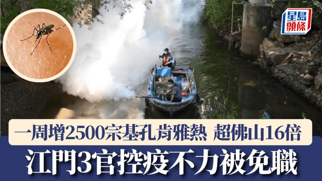 江門的基孔肯雅熱疫情嚴重，副市長等3官被免職。中新社