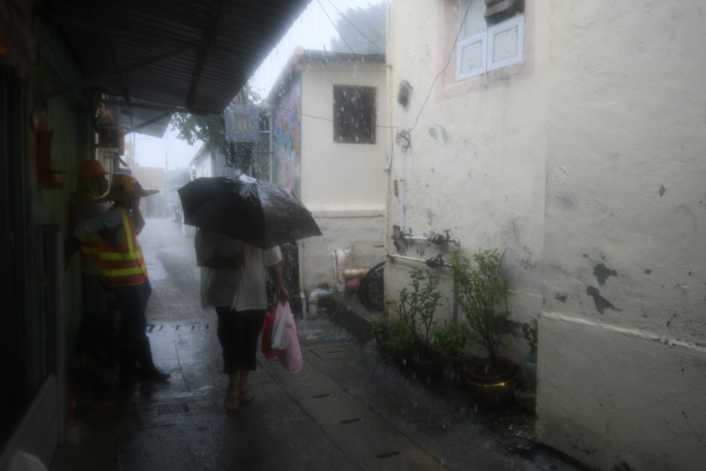 中電與港燈均在風暴期間提供即時熱線中心服務。 中電與港燈均在風暴期間提供即時熱線中心服務。