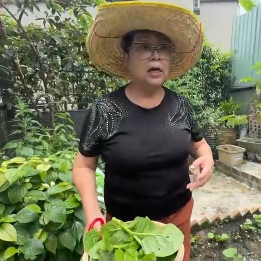 肥媽早前在社交平台,分享了自己在花園種植的畫面。 肥媽早前在社交平台,分享了自己在花園種植的畫面。