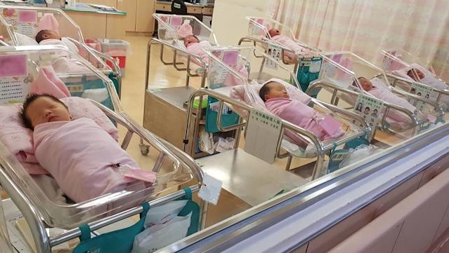今年的中国新生婴儿将再大幅减少。