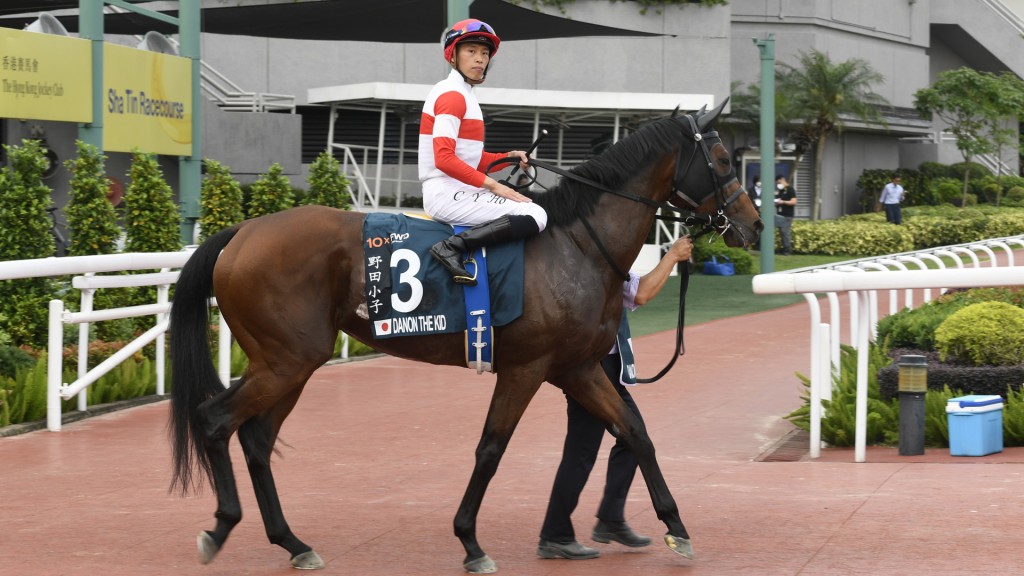 「野田小子」今年將轉戰香港一哩錦標。