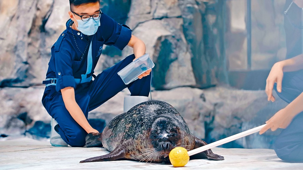 工聯會強調最考慮員工以及動物的利益。