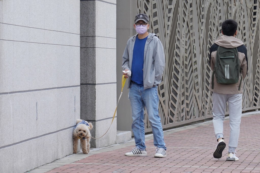 任何人士容許其狗隻在建築物的公用部分小便而弄污地方，首次定罪最高可判處罰款5,000元，其後每次定罪最高可判處罰款1萬元。資料圖片