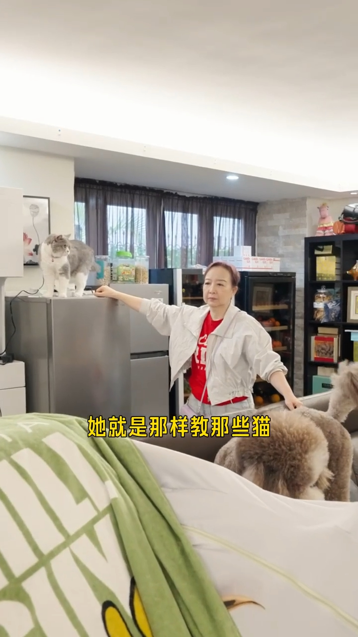 片中可見家中貓狗都與秀姑非常親近。