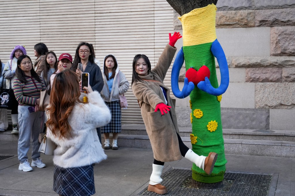 北京街头的「毛衣树」。　新华社