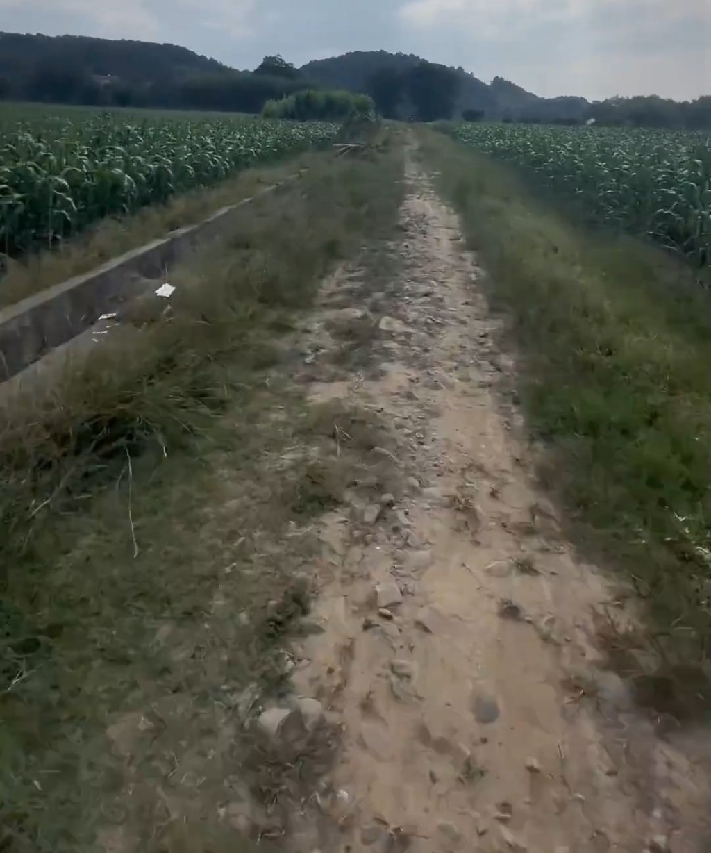 女童髮圈被發現的地方。