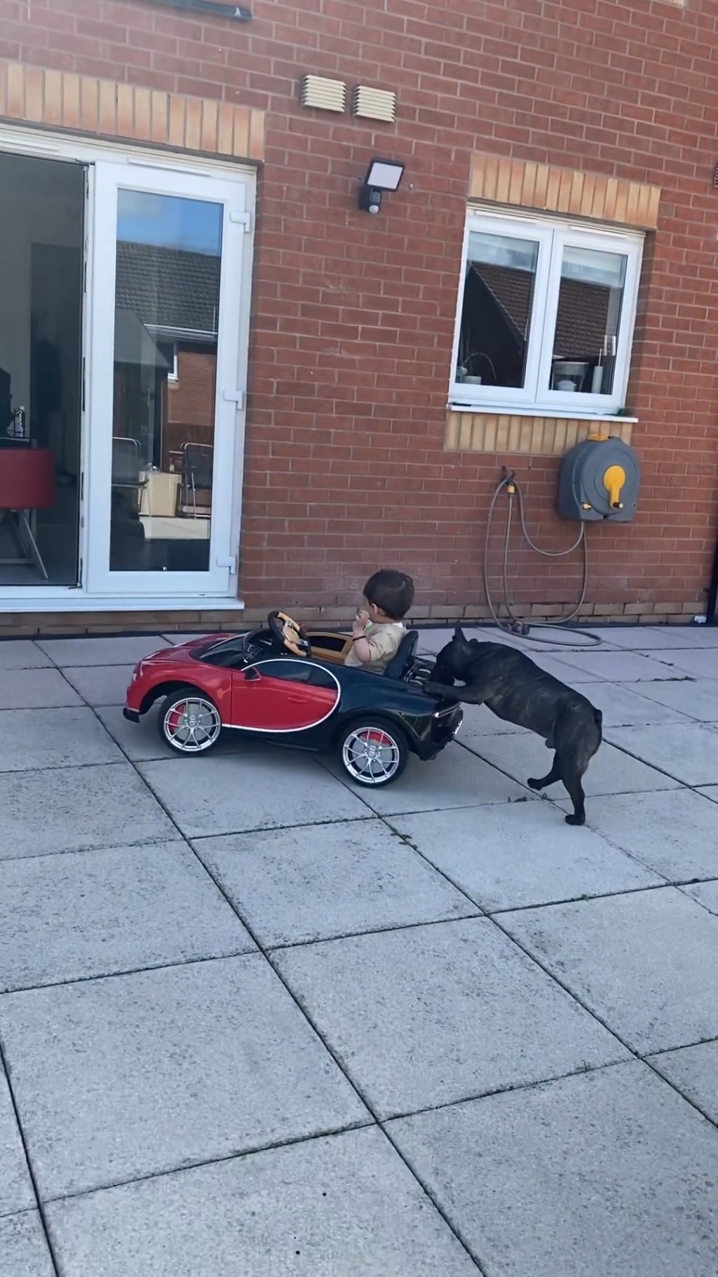 超大後花園，孫仔可以駕車，又可以放狗。