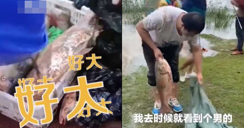 現捉現買。網圖