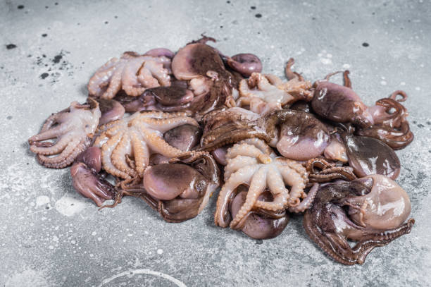 韩国一名82岁老翁进食活章鱼时，章鱼竟「死而不僵」，其触手紧紧吸附在老翁喉咙内，导致窒息死亡。示意图