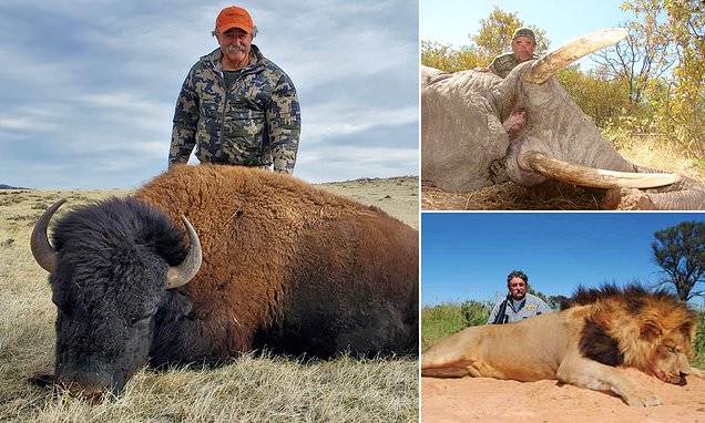 多西奧過去和戰利品合照。X@75secondes