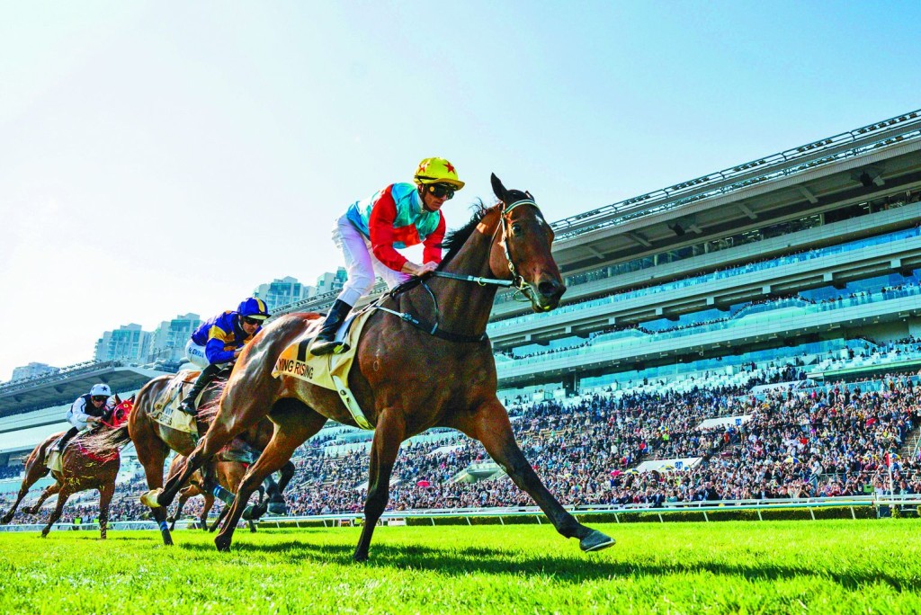 「嘉應高昇」迄今出賽20次，創17戰連勝紀錄，累計總獎金逾1.29億港元