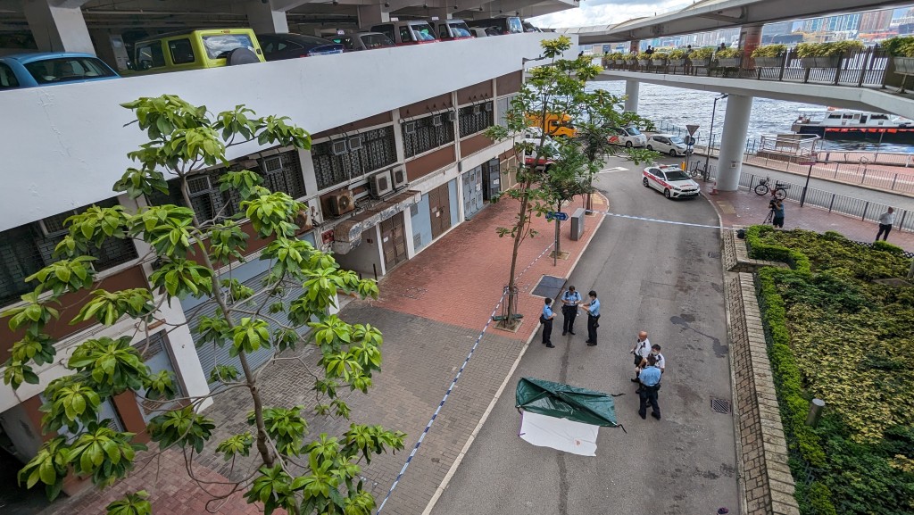 上環女子林士街停車場躍下 倒卧馬路身亡 。