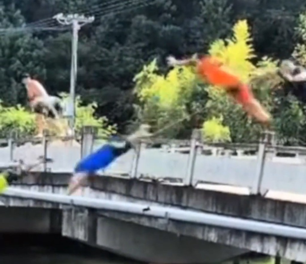 各人站在護標欄上跳水。《新京報》 各人站在護標欄上跳水。《新京報》