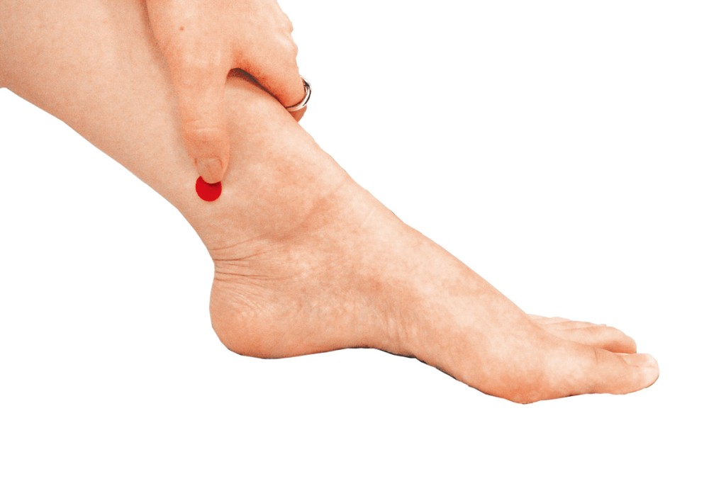 三陰交穴 三陰交穴