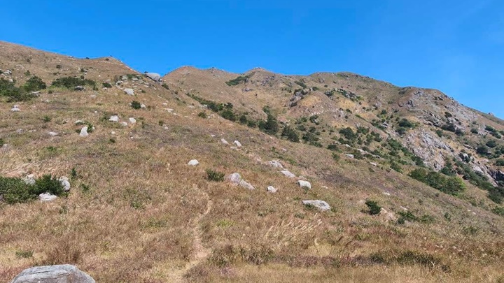 女事主在大東山玩滑翔傘意外撞崖。 網圖