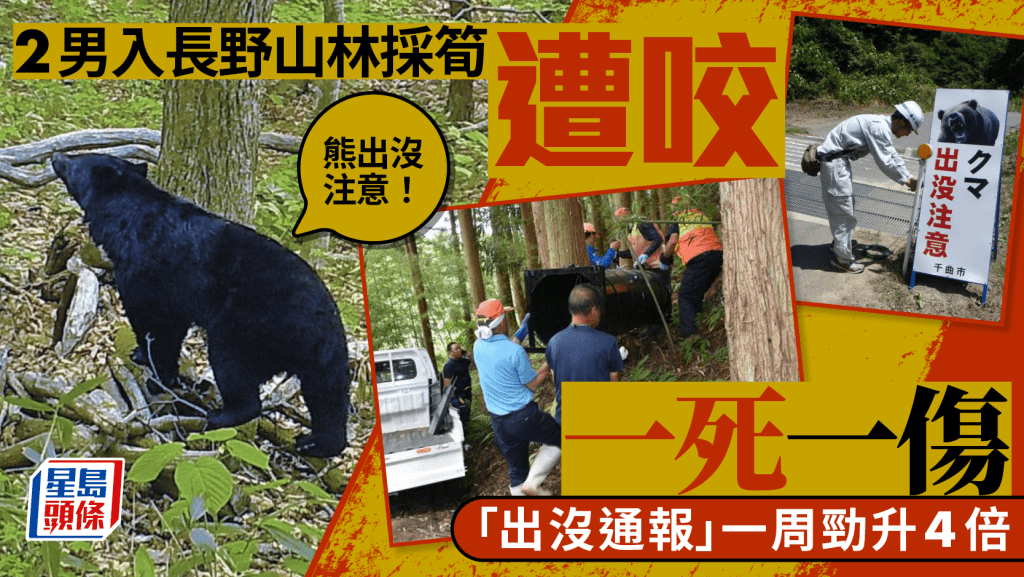 長野有居民採竹筍遭熊襲擊後身亡。