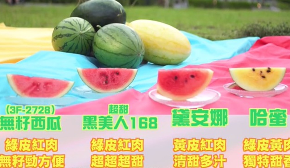 漁護署介紹4種年度特色品種。漁護署影片截圖