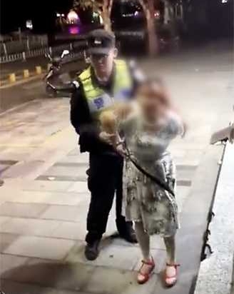 被捕疑犯為婦人范X吉。(網圖)