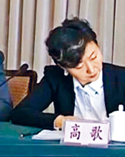 孟宏伟妻子高歌。