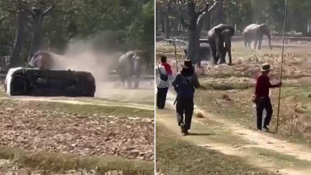 泰国大象不满被迫交配，情绪失控重伤饲主毁两车。FB@Nonthawat Wisutthipat