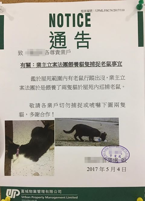 不過最值得提出的，是有網民擔心貓年老後會否被遺棄。