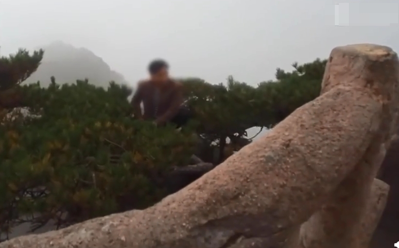 遊客側躺在黃山懸崖松樹拍照,路人:不要命的操作。影片截圖