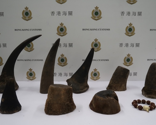 海關在機場檢獲約8.16公斤懷疑犀牛角及約60克懷疑象牙製品,估計市值共約163萬元。海關提供