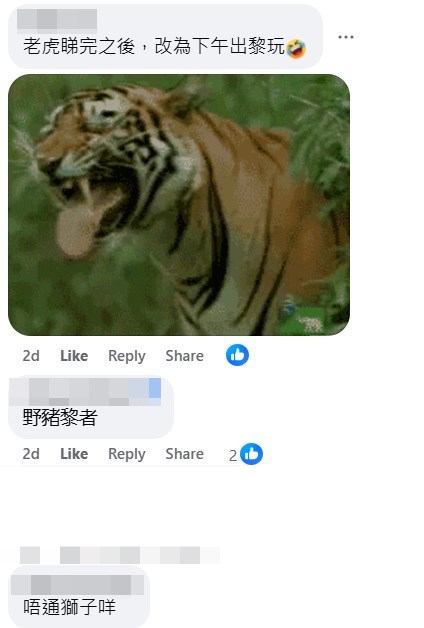 facebook截圖(資料來源:Vincent Lam@facebook香港自然生態論壇 HKWildlife.net) facebook截圖(資料來源:Vincent Lam@facebook香港自然生態論壇 HKWildlife.net)