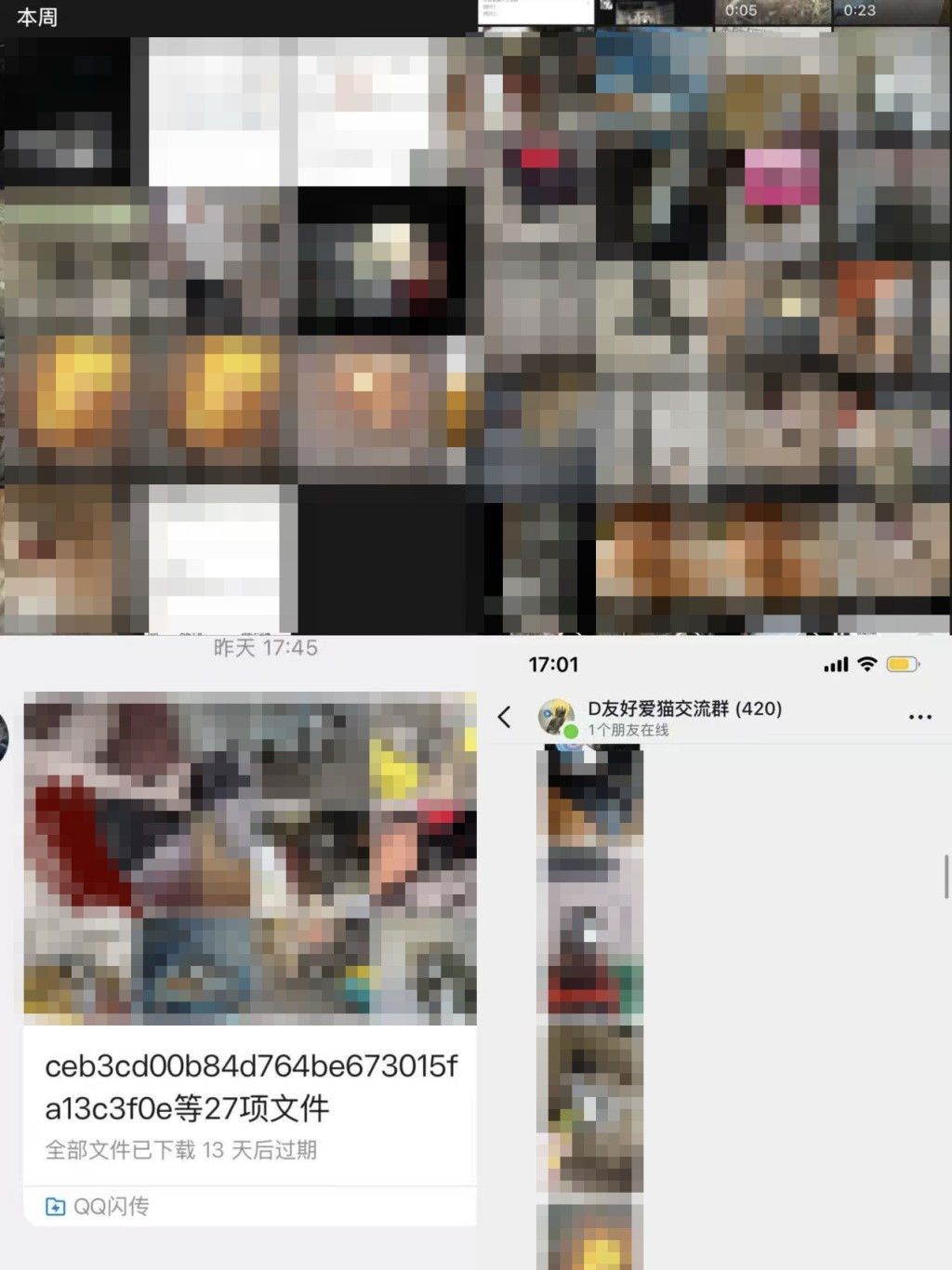 內地多個貓義工及動物救援微信群組，於去年12月起遭不明人士發送大量虐待貓隻的影片及照片。
