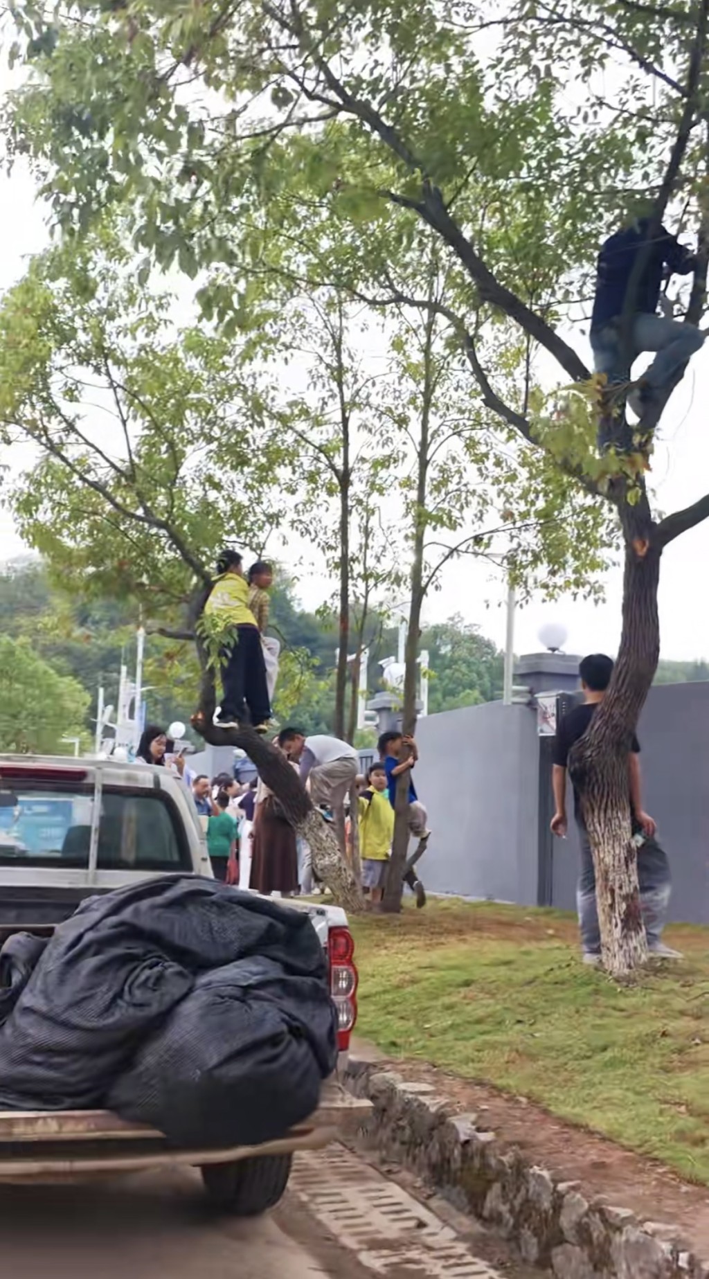 湖南永州足球協會推出樹上掛票。抖音@Mr.歡歡 湖南永州足球協會推出樹上掛票。抖音@Mr.歡歡