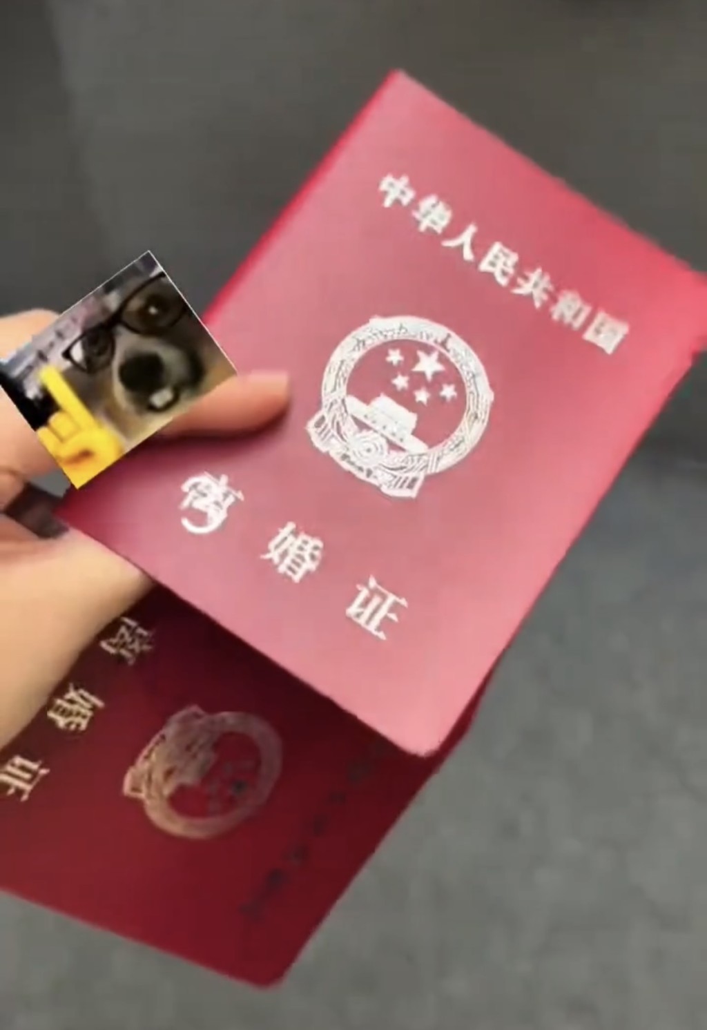 吉林新人辦理結婚登記,領到的竟是「離婚證」。紅星新聞 吉林新人辦理結婚登記,領到的竟是「離婚證」。紅星新聞