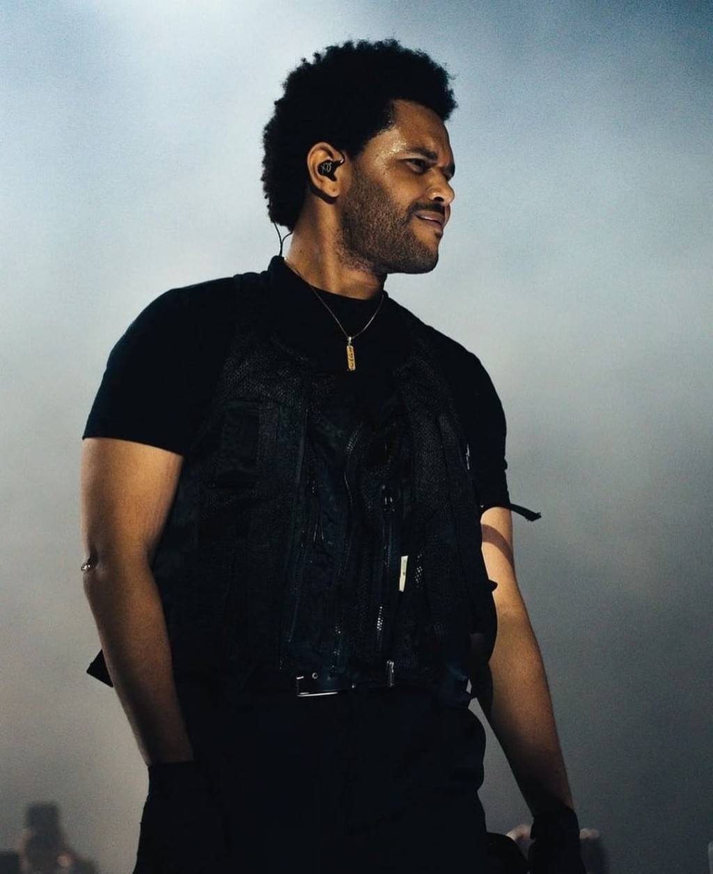 《The Idol》由加拿大天王The Weeknd擔任監製及主演。