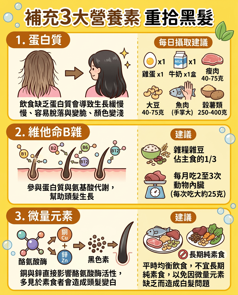 補充3大營養素重拾黑髮 補充3大營養素重拾黑髮