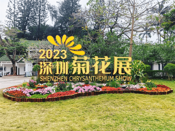 深圳菊花展由即日至12月29日舉行，並以現菊薈萬象作為主題。