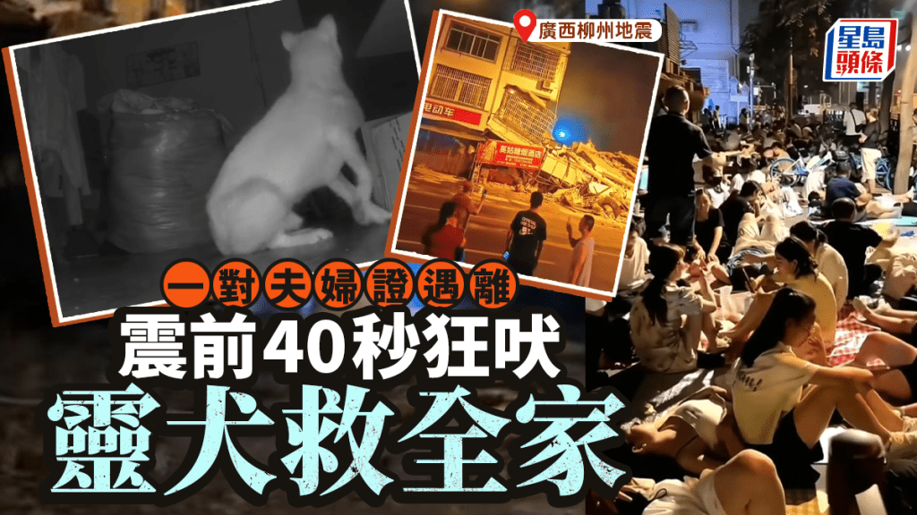 柳州5.2級地震︱夫妻證遇難失蹤91歲翁獲救  靈犬震前40秒狂吠救全家︱有片
