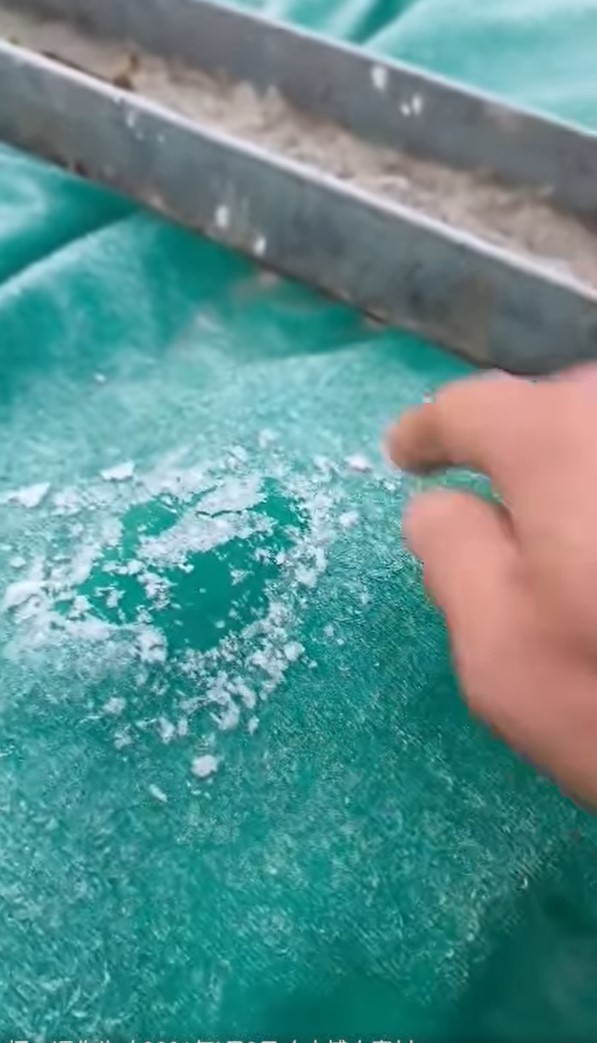 攝：馮先生 / 2026年1月8日 / 大埔大窩村@天文台FB圖片