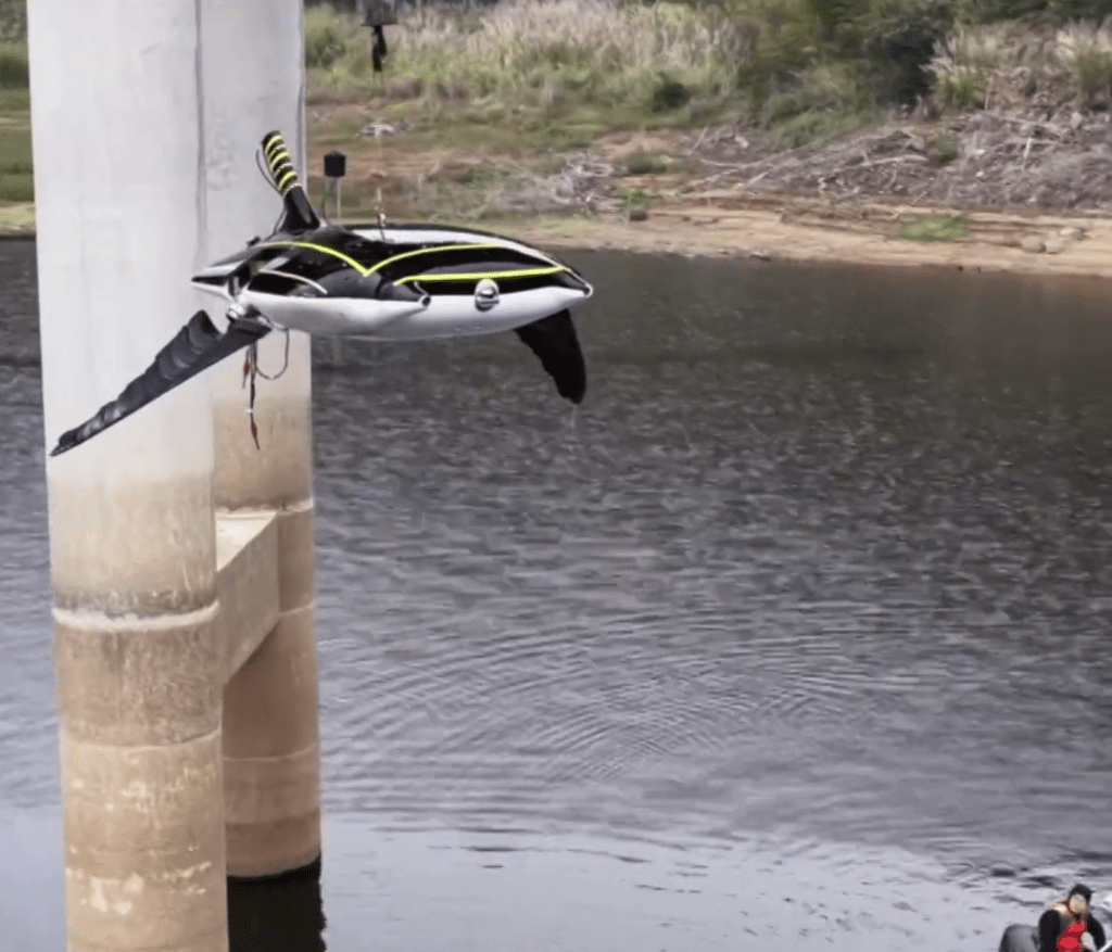 「魔鬼魚」潛水器。 「魔鬼魚」潛水器。