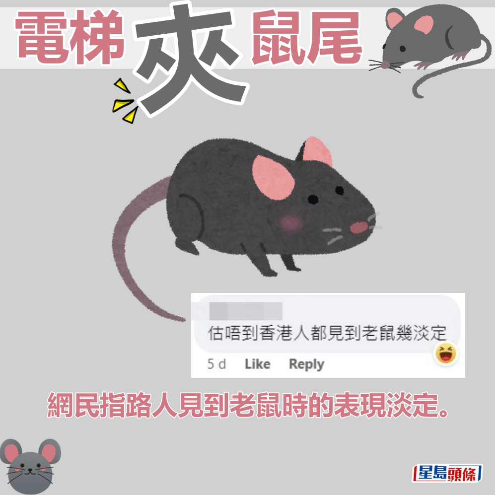 网民指路人见到老鼠时的表现淡定。fb「屯门友」截图