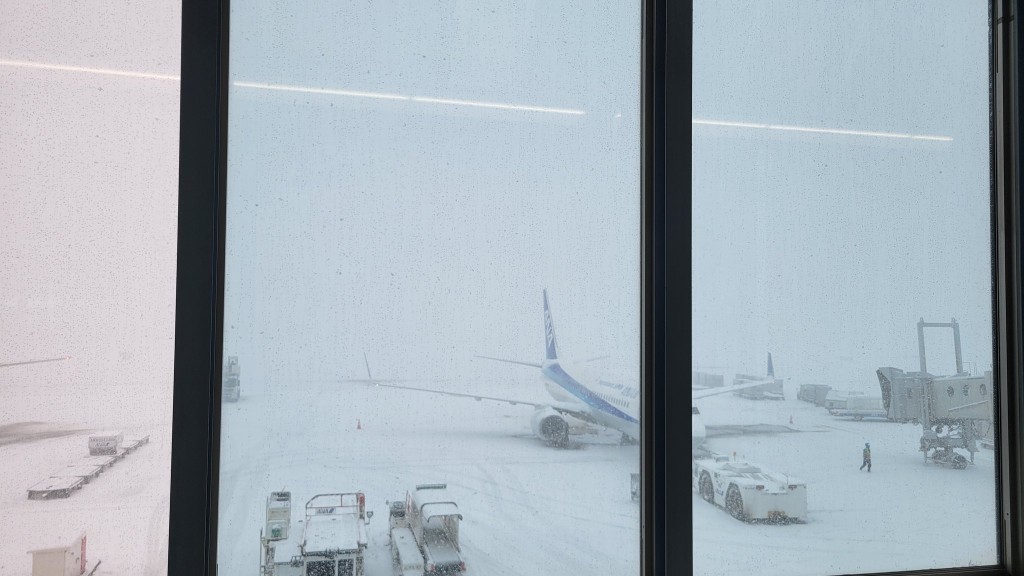 北海道受到低氣壓影響而出現暴風雪，周一要取消29班機。X@rapkanto