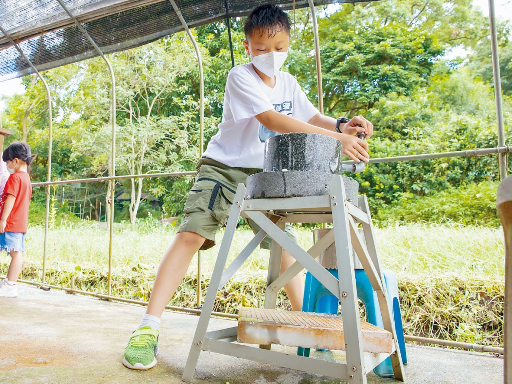透过亲手制作及品尝石磨豆浆，让学童了解大豆的营养价值及植物性饮食的好处。