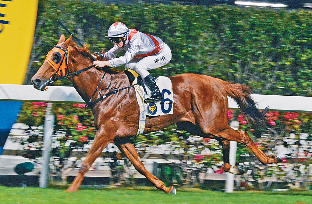 ■「盈嘉輝」今仗轉排好檔，可望不用留得太後，保持近仗水準應不勝有位。