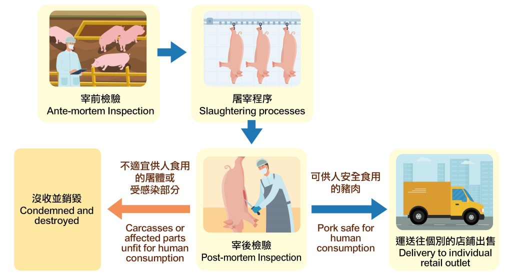 本港屠房在宰前及宰后对猪只进行的检验。图片来源：香港食物安全中心网站