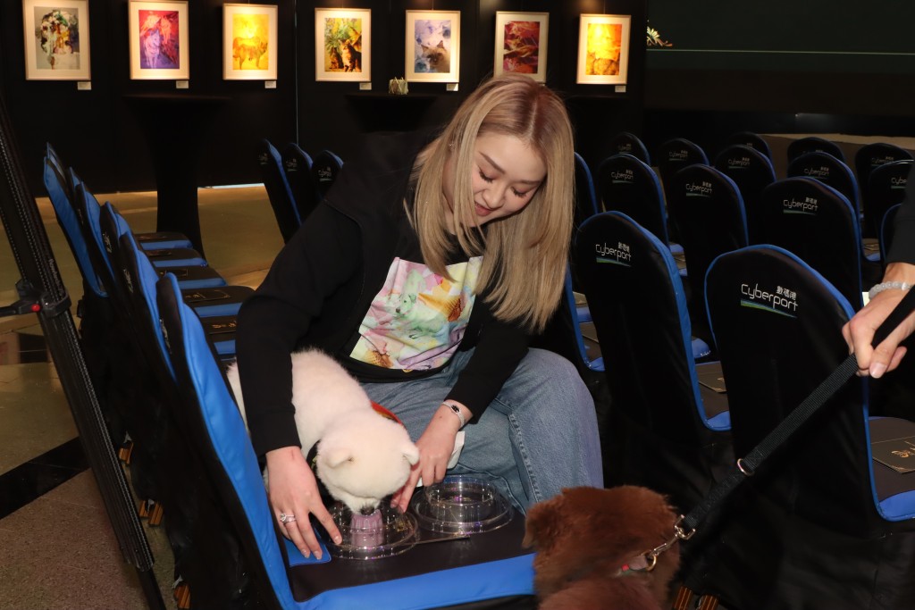 Shirley照顧飛雲無微不至。